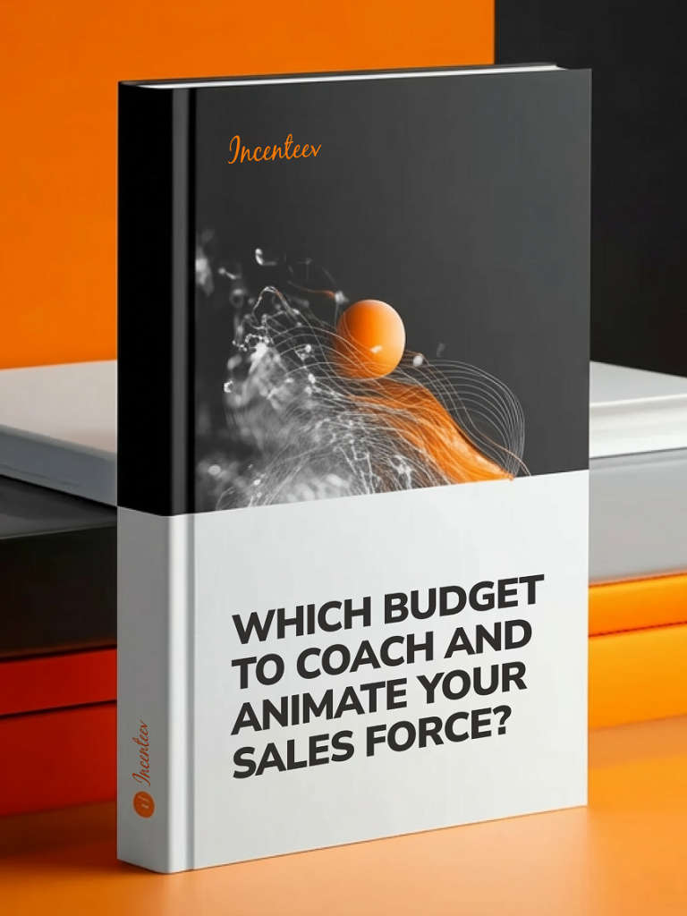 What Budget for Coaching and Motivating your Sales Team?